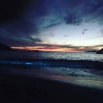 Alejandro Magdaleno - @alejandro_magdaleno1 - Instagram