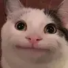 Alejandro Marrero - @alejandro.marrero39 - TikTok