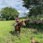 Alejandro Ñeri - @cacho_18neri - Instagram