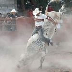 Alejandro Nieto - @alejandronieto529 - Instagram