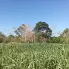 Alejandro Noh - @alejandro.noh64 - TikTok