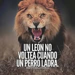 Alejandro Noh Tamayo - @nohtamayo - Instagram