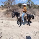 Alejandro Olvera - @alejandroolvera476 - Instagram