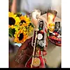 alejandropascual272 - @alejandropascual272 - TikTok