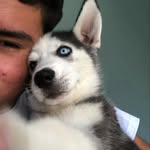 Alejandro Portillo - @pxrtillo_ - Instagram