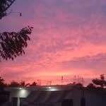 Alejandro Prudente - @prudente.alejandro - Instagram