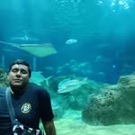 Alejandro Raya - @alejandroraya__ - Instagram