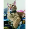 Alejandro Revilla - @31038245997 - TikTok