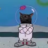 Alejandro Revilla - @alejandrorevilla8 - TikTok