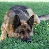 Alejandro Roa - @alejandro.roa24 - TikTok