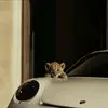 Alejandro Roa - @alejandro.roa28 - TikTok