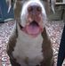 Alejandro Saenz - Facebook