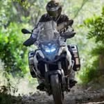 Alejandro Sena - @paisajistaalesena1 - Instagram