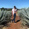 Alejandro Sevilla - @sevilla.99 - TikTok