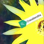 Alejandro Jaen Socorro - @crasabendita - Instagram