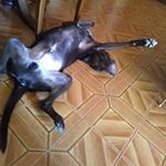 Alejandro Troche - @alejandrotroche62 - Instagram