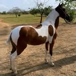 Alejandro Urueta - @urueta854 - Instagram