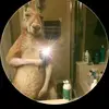 Alejandro Vega - @alejandro.vega054 - TikTok
