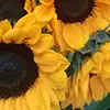 Alejandro vega - @alejandro.vega3628 - TikTok