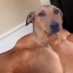 @alejandro__velarde___ - Instagram