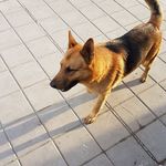 Alejandro Wagner - @alejandro.wagner.9022 - Instagram