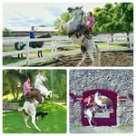 Alejandro zapien - @alejandro_zapien - Instagram