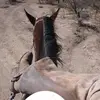 Adrian Antúnez - @alejoantunez - TikTok