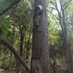 Aleksandr Solzhenitsyn - @aleksandr_solzhenitsyn_ - Instagram