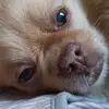 Aleksandra Dragovic - @aleksdragov - TikTok