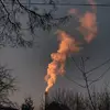 люблю еду и аниме - @hunter.alena - TikTok
