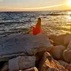 Alena Leon315 - @alenaleon_ - TikTok