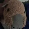 Alessandra Gonzalez - @alessandra.gonzal24 - TikTok