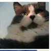 Alessandra Marchese - @alessandra.marche87 - TikTok
