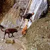 bellinialessandro8 - @bellinialessandro8 - TikTok
