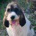 Alessandro Gori - Facebook