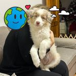Alessandro Gori - @alessandrogori01 - Instagram