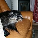 Alessandro Gori - @gori5055 - Instagram