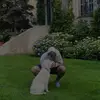 Alessandro Gori - @alessandrogori._ - TikTok