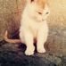 Alessandro Maffei - Facebook