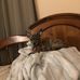 Aleta Bowers - Facebook