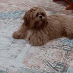 Aleta Thomas - @sunsh.ine5540 - Instagram