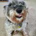 Aletha Rogers - Facebook