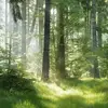alethea_johnson - @alethea_johnson - TikTok