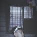 Alex Abalos - Facebook