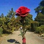 Alex Abalos Valderrama - @abalosvalderrama - Instagram