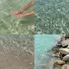 alexabbate569 - @alexabbate569 - TikTok