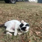 Alex Abrams - Facebook