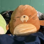 Alex Achenbach - @friendly_neighborhood_doorbell - Instagram
