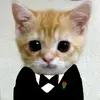 Alex Adame - @alex.adame42 - TikTok