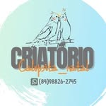 Alex Adriano - @calopsita_natal - Instagram
